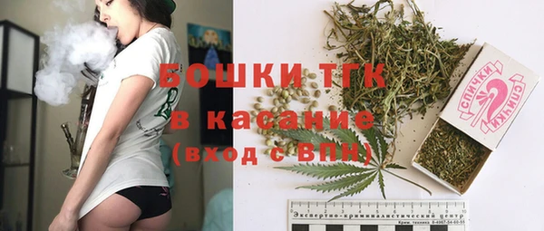дживик Михайлов
