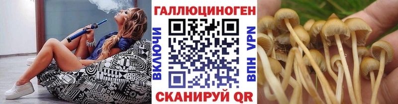 гидра маркетплейс  Куровское  Галлюциногенные грибы ЛСД 